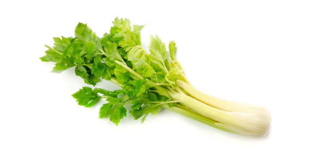 Is Celery High In Iron