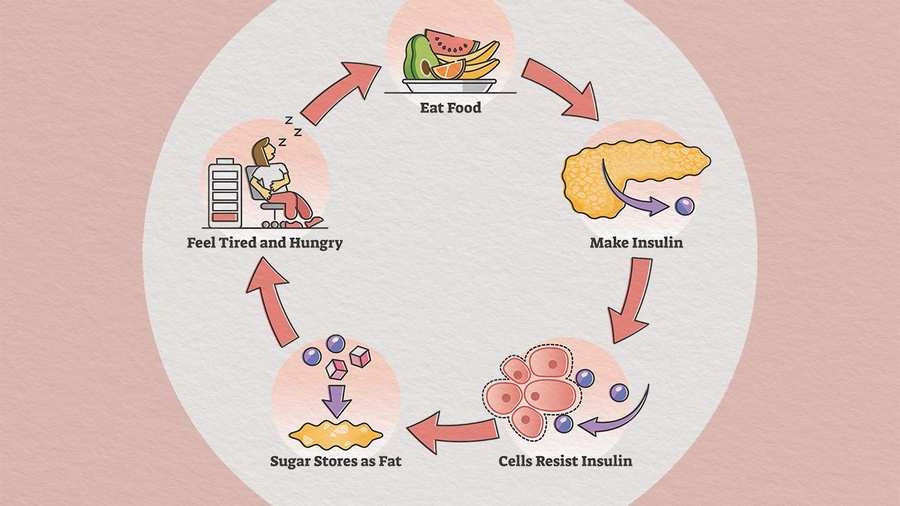 How Does Insulin Resistance Affect Blood Sugar Levels Understanding