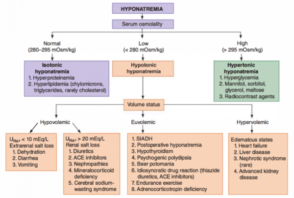 can-hyponatremia-cause-high-blood-pressure-health-insights