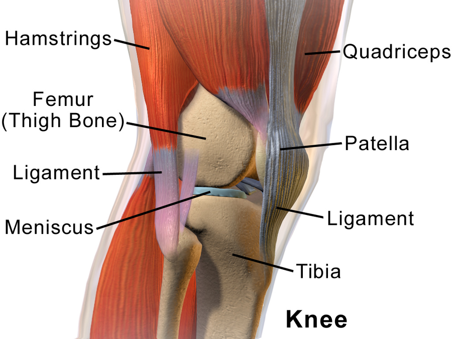 What Causes Severe Knee Pain Without Injury Pain Unraveled