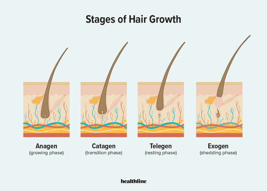 Is Your Hair Growing When It Itches? 