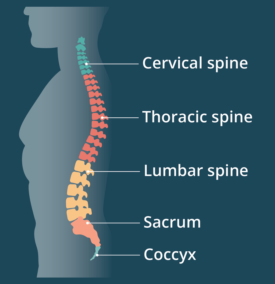 Lower Back Pop When Lifting Pain Free Solutions