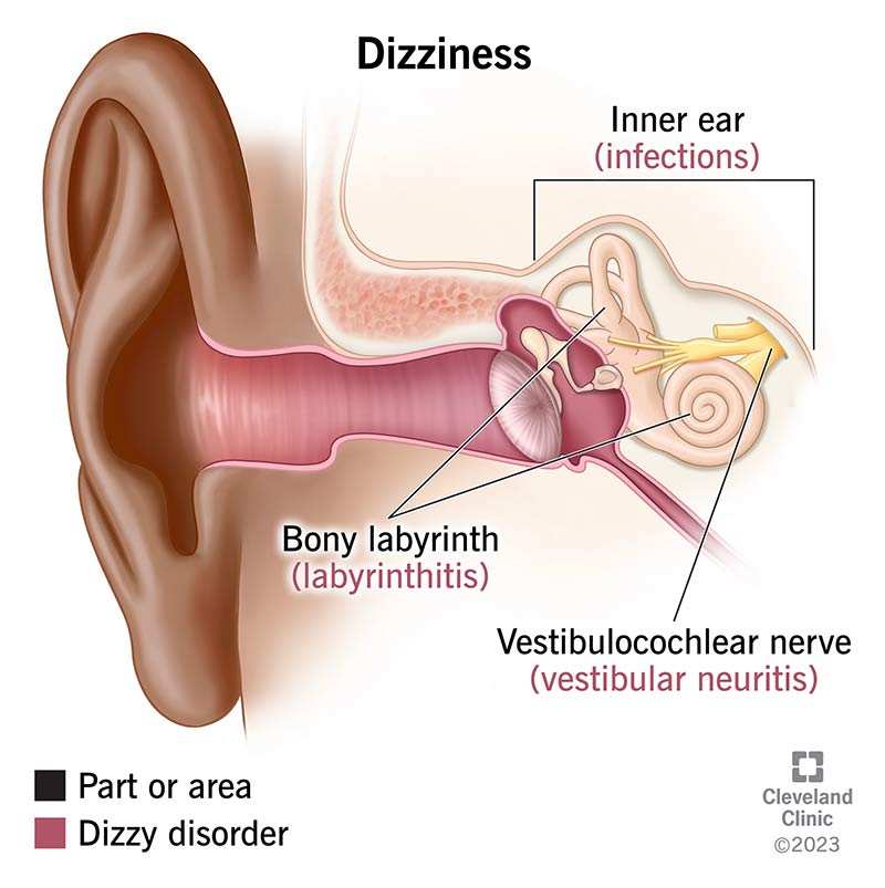 why-do-i-randomly-feel-dizzy-and-lightheaded-understanding-causes