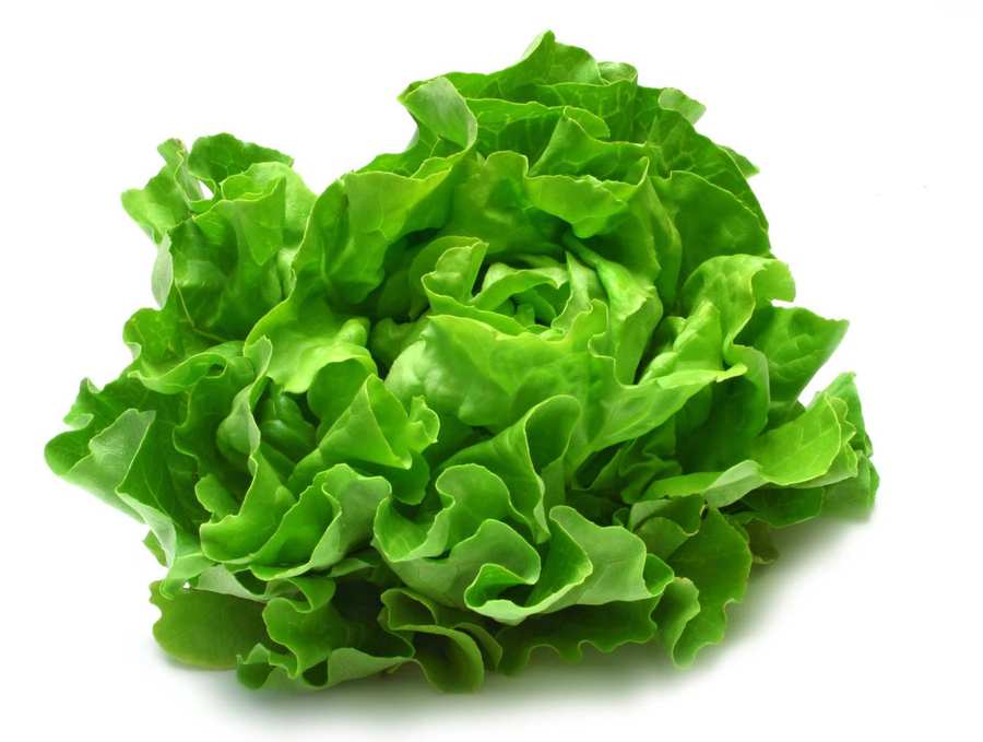 is-lettuce-ibs-friendly-crunchy-considerations